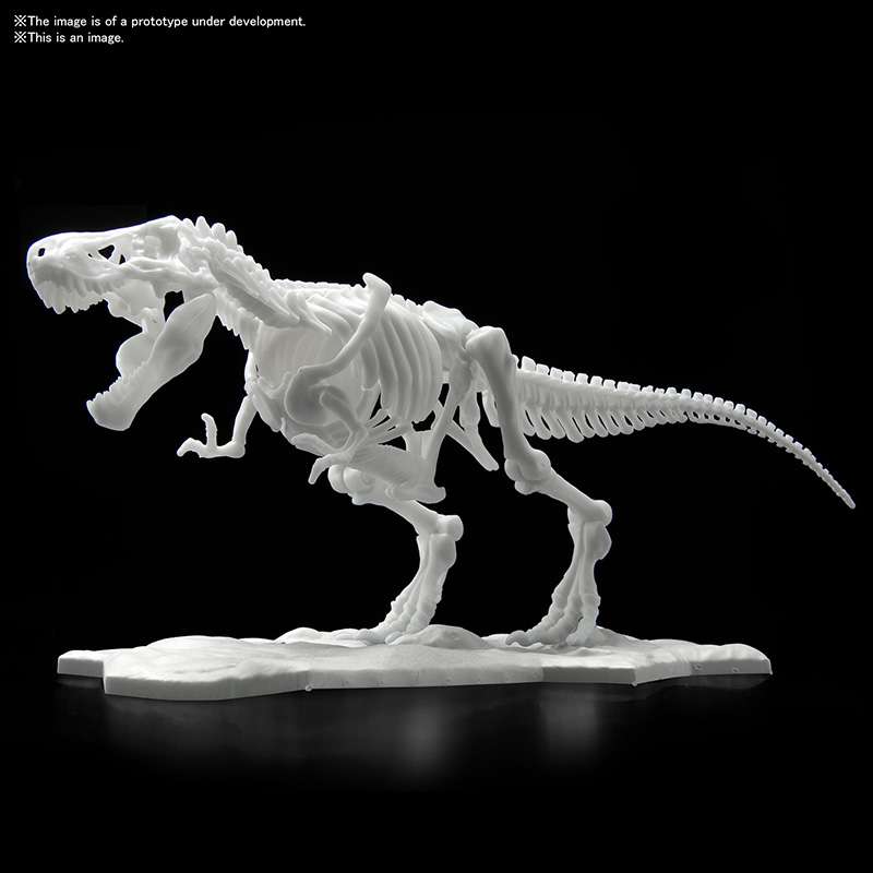 Dinosaur Limex Skeleton Tyrannosaurus Mk