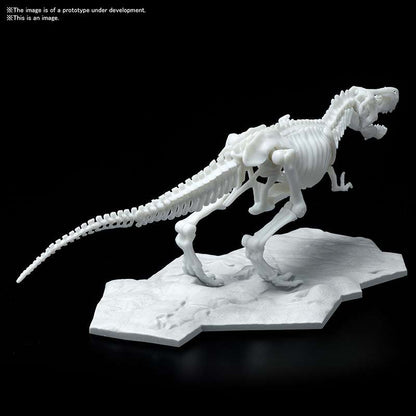 Dinosaur Limex Skeleton Tyrannosaurus Mk