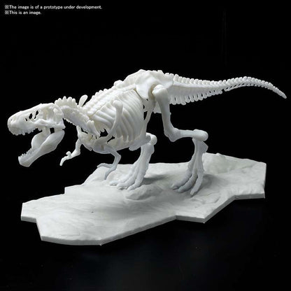 Dinosaur Limex Skeleton Tyrannosaurus Mk