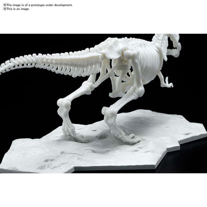 Dinosaur Limex Skeleton Tyrannosaurus Mk