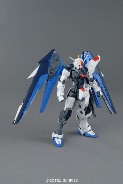 1/100 MG Freedom Gundam Ver.2.0