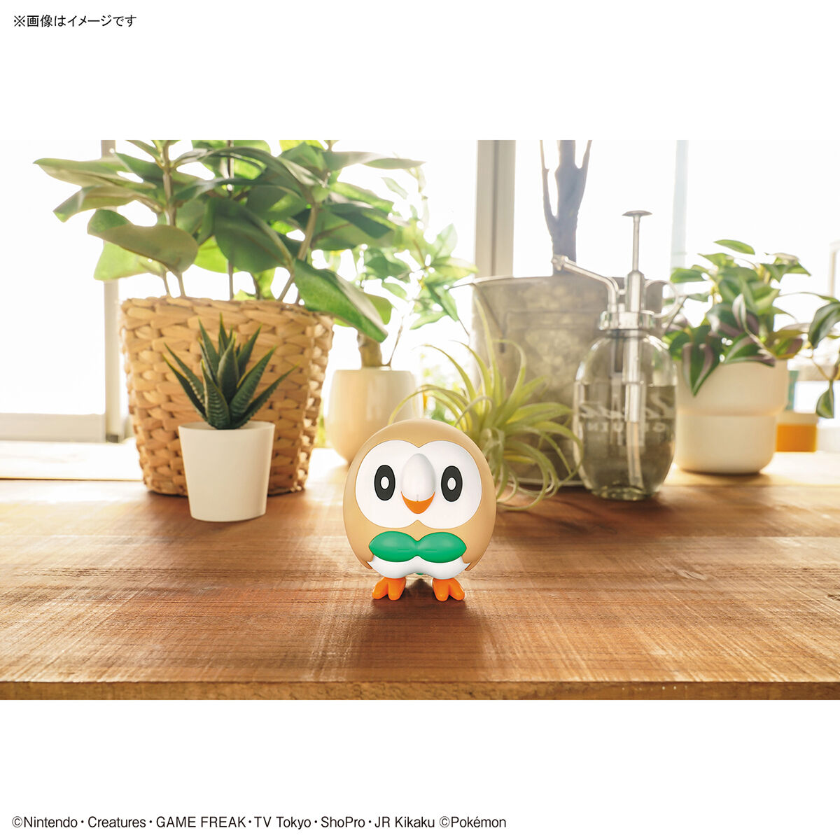 Pokemon Plamo Collection Quick Series!! 10 Rowlet