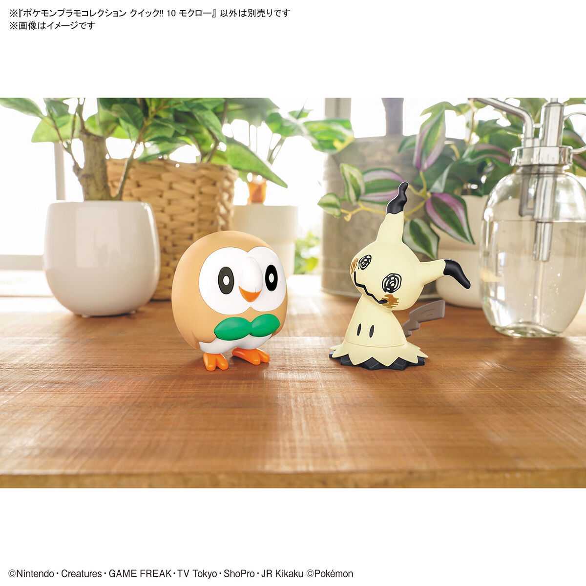 Pokemon Plamo Collection Quick Series!! 10 Rowlet