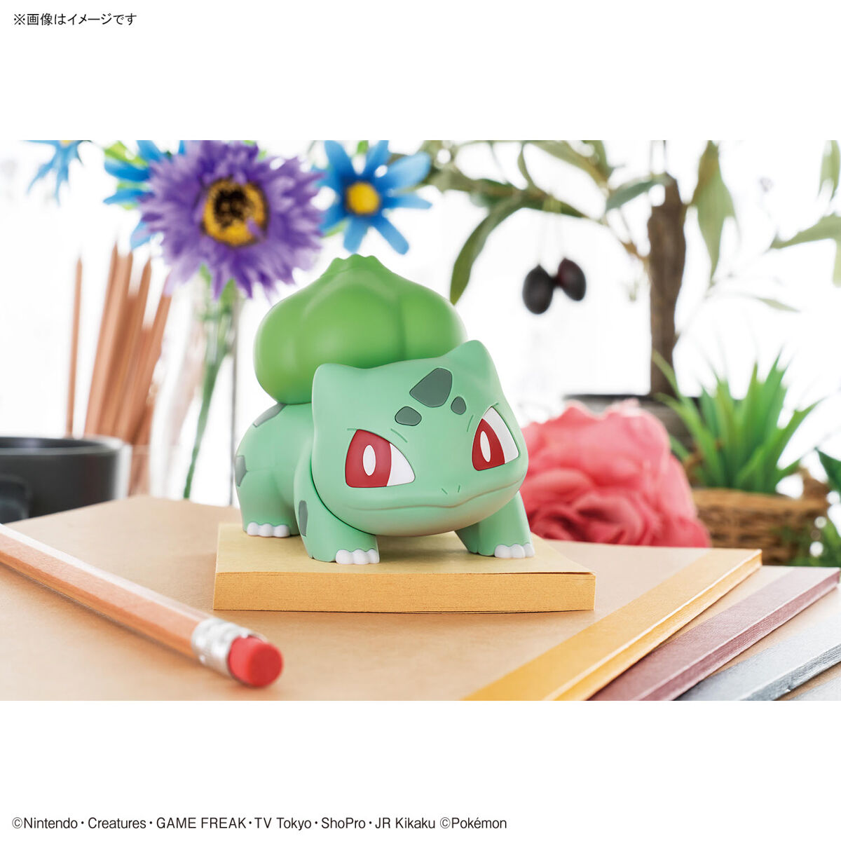 Pokemon Plastic Model Collection Quick !! 13 Bulbasaur