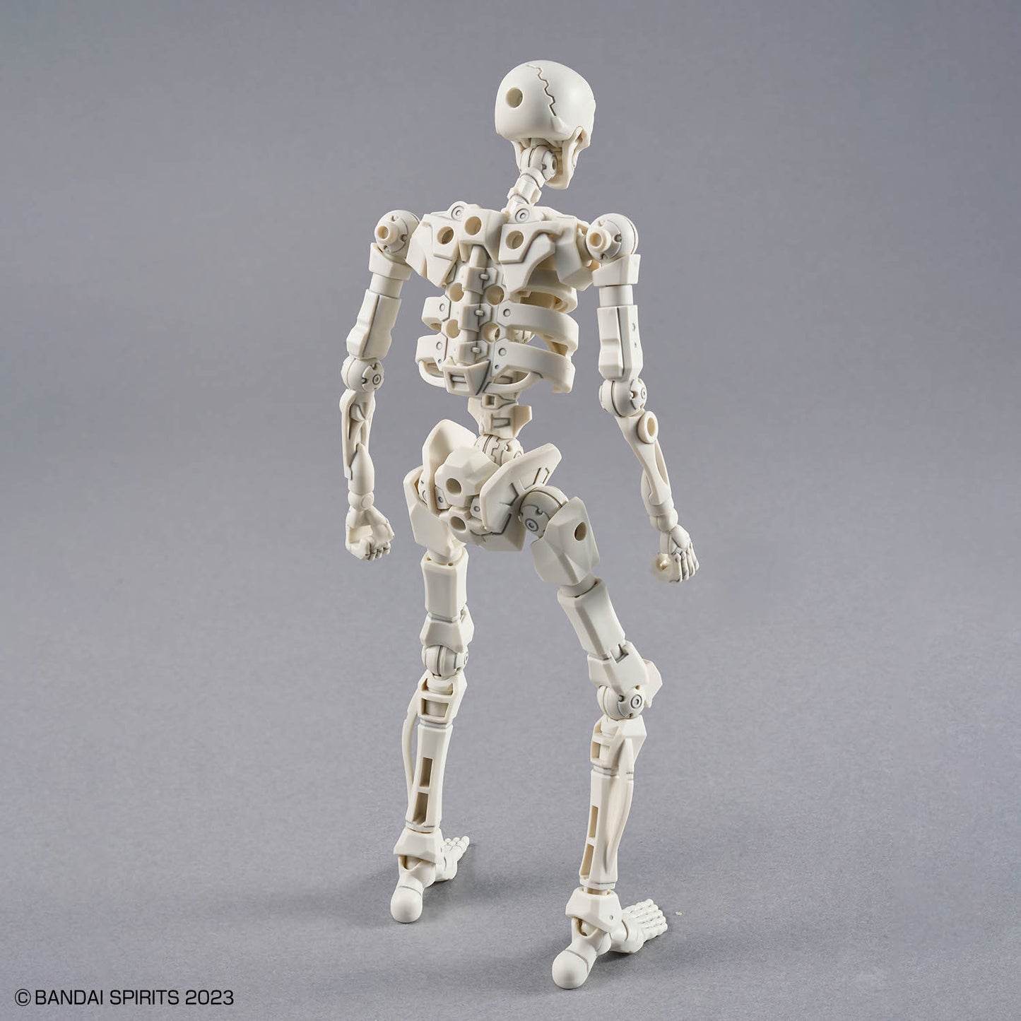 1/144 30MF DLRO Skeleton
