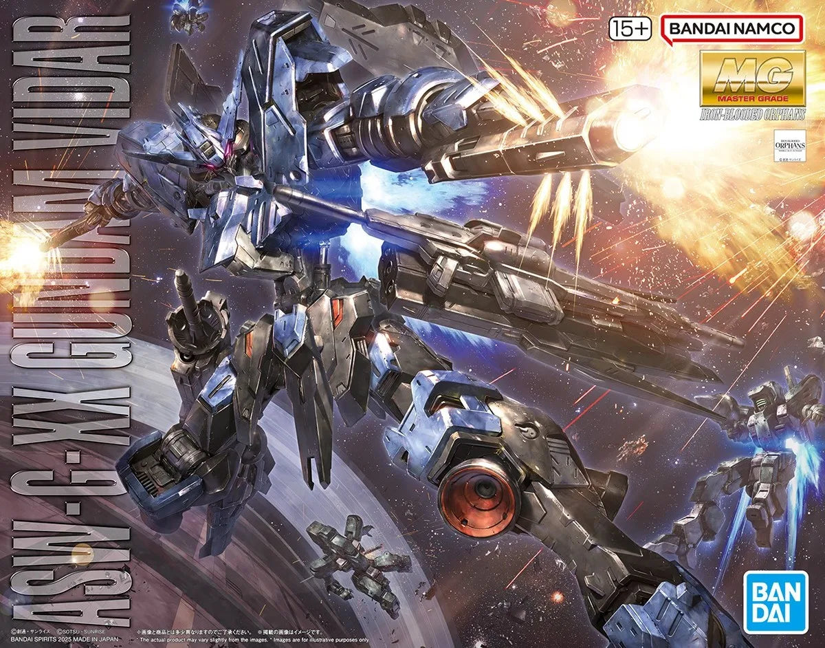 1/100 MG Gundam Vidar